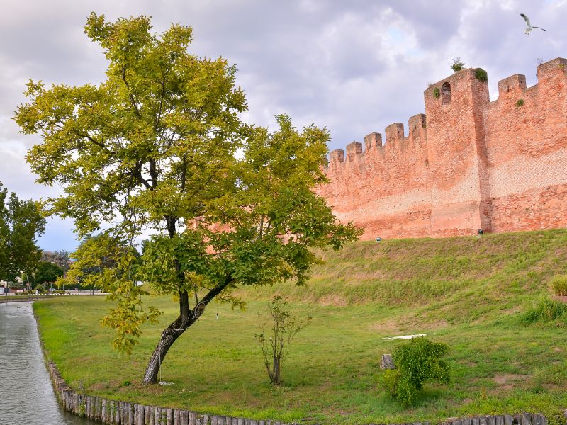 wochenmarkt in castelfranco veneto